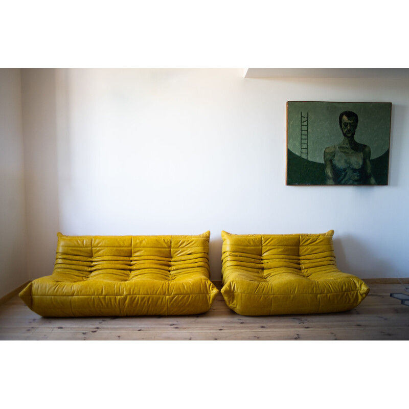 Vintage leather lounge set by Michel Ducaroy for Ligne Roset