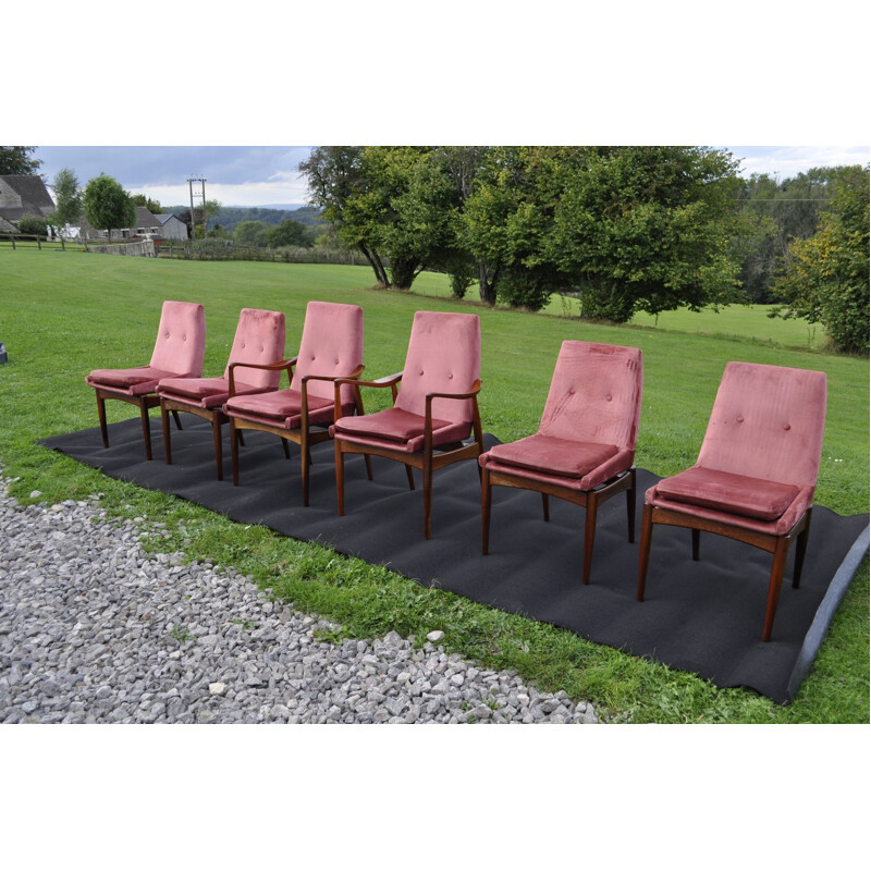 Set van 4 stoelen en 2 vintage fauteuils van David Walker voor Dalescraft  furniture