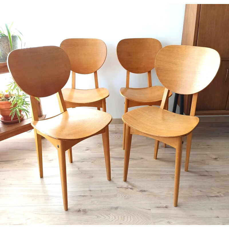 Set of 4 vintage Stella beechwood chairs, 1950
