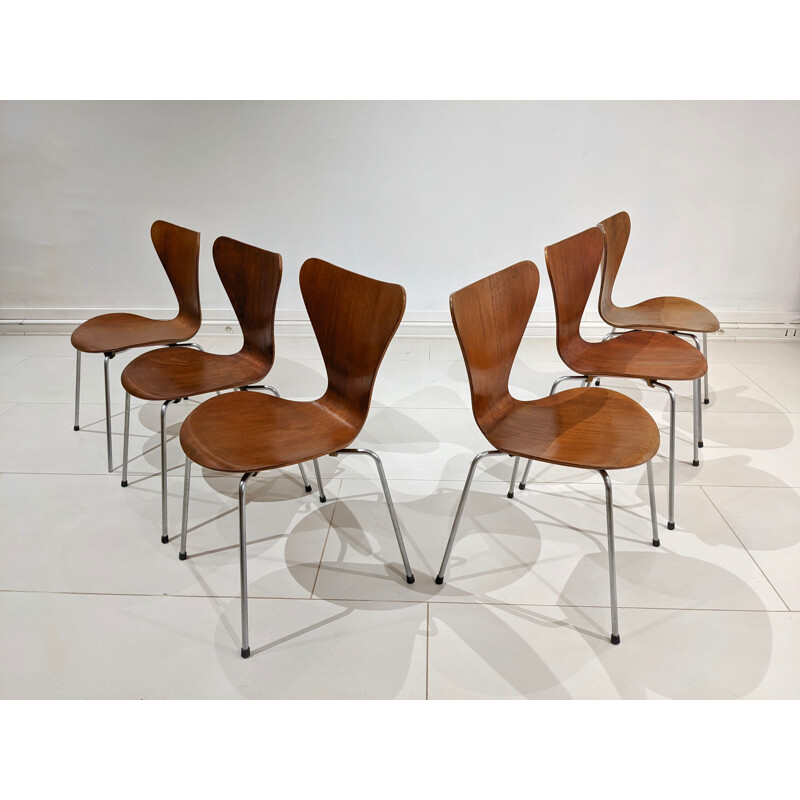 Lot de 6 chaises vintage "Serie 7" par Arne Jacobsen pour Fritz Hansen, 1950