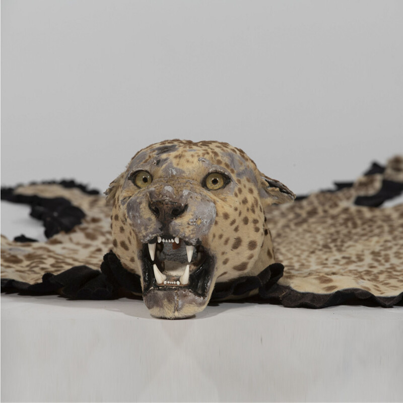 Pelle di leopardo vintage, 1943