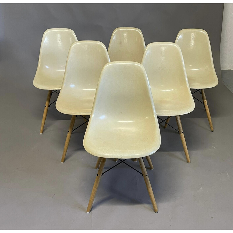 Articulatie Ga terug deze Set van 6 vintage "Dsw" kuipstoelen van Charles en Ray Eames voor Herman  Miller, VS 1965.