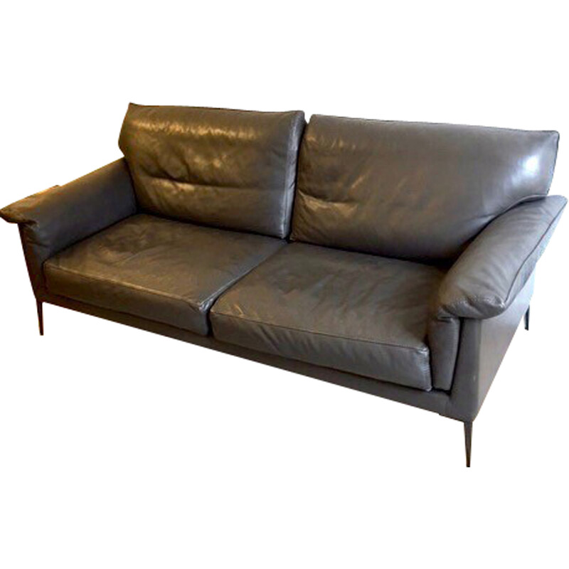 Vintage 2-seater sofa "Hélium" in gray cowhide leather and black metal for  Duvivier, France