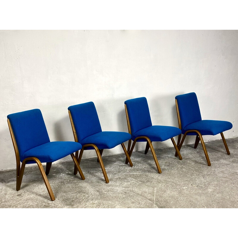 Ensemble de 4 chaises vintage “Konkav” en hêtre par Paul Bode pour Deutsche Federholzgesellschaft, Allemagne 1950