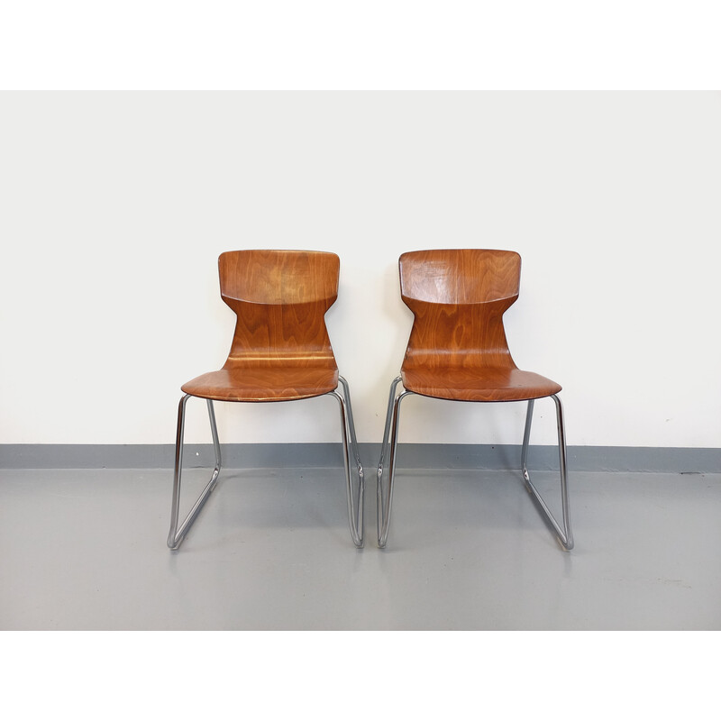 Pair of vintage bentwood and chrome chairs for Casala Obo-Formsitz, Germany 1960