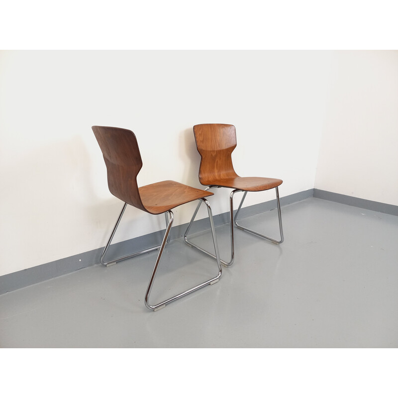 Pair of vintage bentwood and chrome chairs for Casala Obo-Formsitz, Germany 1960